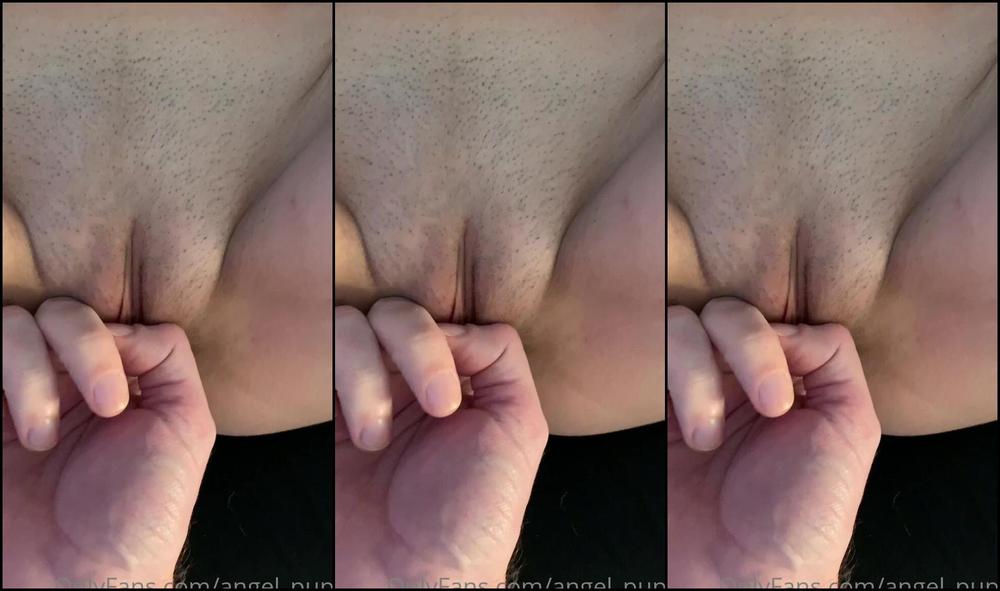 Angel Pups 238051347 Rubbing All The Right Spots 01 1Cf6Ff4D D2A2 4453 8604 Cdfc6F1695C9