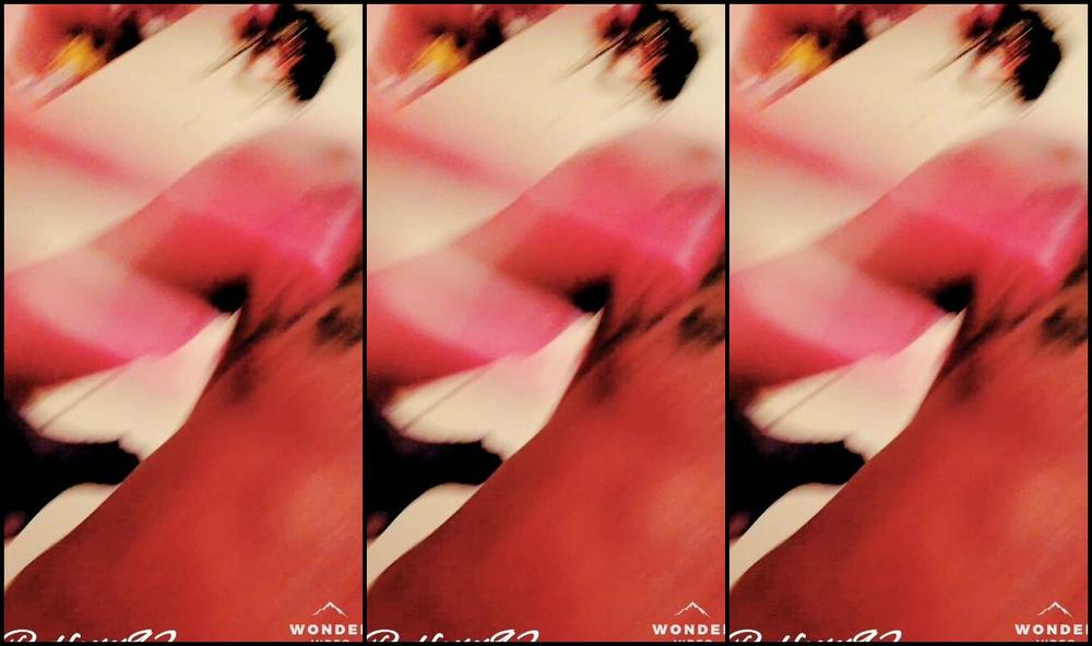 Redfoxx Cheating Wife Gets Her Holes Filled