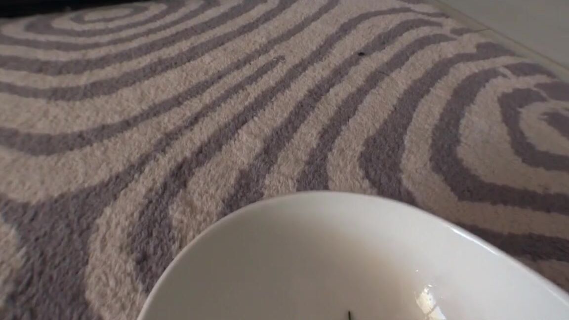 Goddess Jessica 2015-10-23 A Hazy Recollection of Being a Whore Brat, Cuck, Feet, Intox, Forced.Bi, Humiliation 14 55614 Clips4Sale