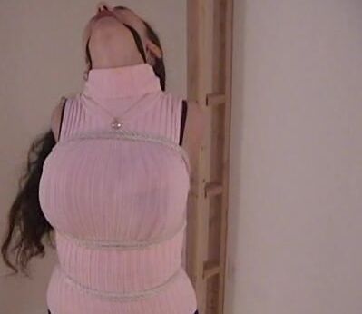 BDSM Luvs2bTied Harmony Concepts