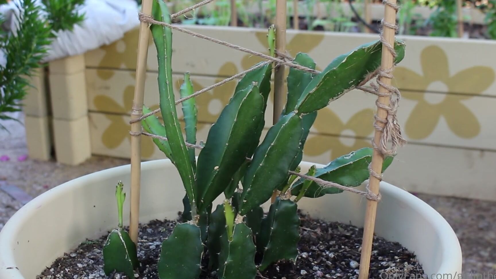 Girlinthewild Extreme Gardening Vlog