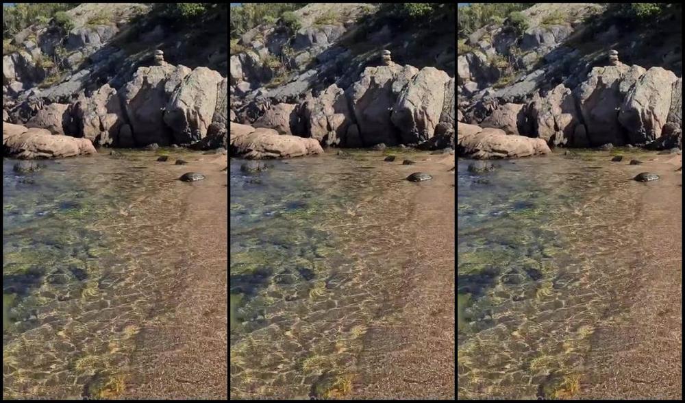 Swift Kiss Nicknamed Swiftkiss Onlyfans Video 435