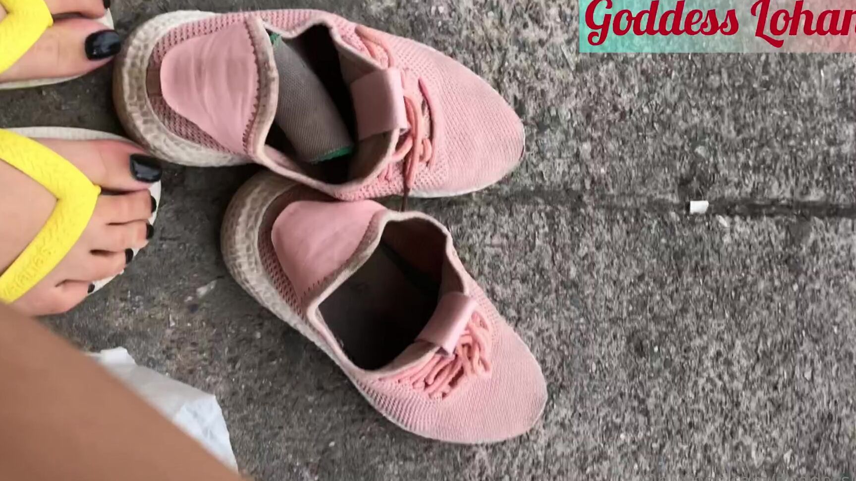 Goddesslohan 1448866196 12 14 2020 Tchau Tchau Chulezao Combo Pig