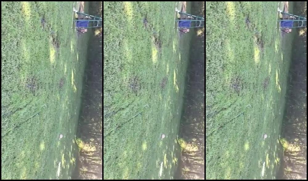 Goddess Anabelle Pync Nicknamed Anabellepync Onlyfans Onlyfans Only Video Just For You Follow Mpvisuals For Wam Unedited