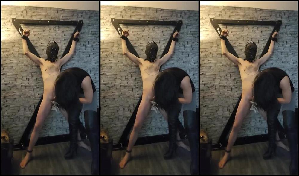 Miss Jo Mistress Nicknamed Missjomistress 02 17 2025 Onlyfans Video Pegging Out