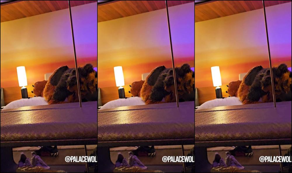 Palacewolf 603309146 When This Big Shep Is Feeling Needy I Don T Have Much Choic 01 D497Dec6 24A2 4A82 97C2 750Abecdd00B