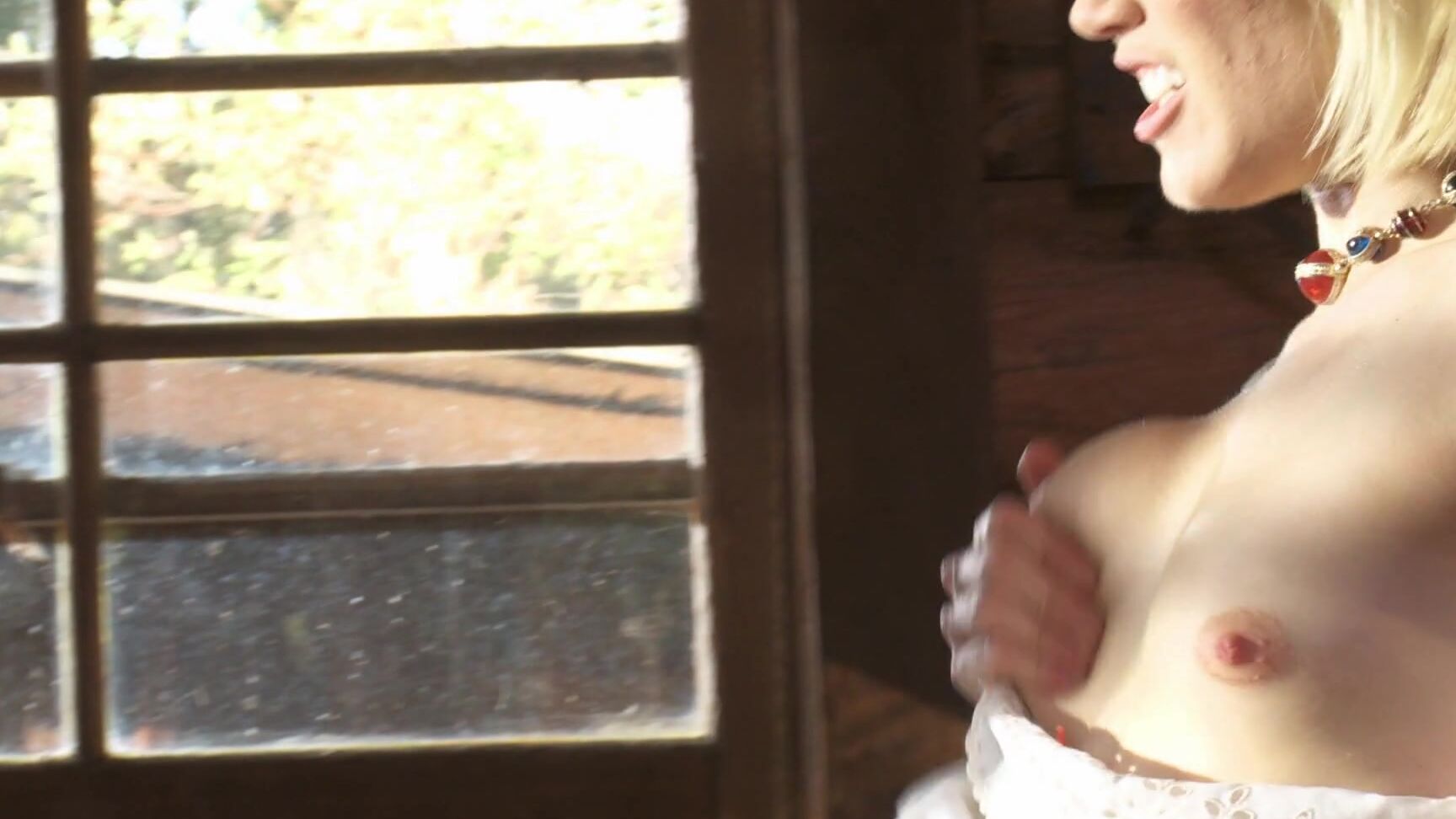 "Alektra Blue, Ash Hollywood, Brad Armstrong, Dale DaBone, Derrick Pierce, Eric Masterson, India Summer, Jessica Drake, Kortney Kane, Kris Slater, Marcus London, Rocco Reed, Seth Gamble, Tanya Tate, Xander Corvus" Feature The Craving 2 Wicked Picture