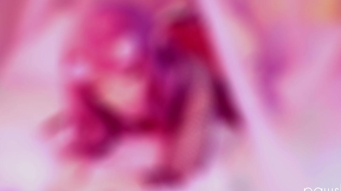 Costume, Chubby, Riding, Cumshots, Doggystyle pawslut return of the succubus be mine forever ManyVids