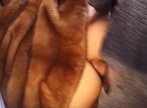 Anal Lollipop SiteRip