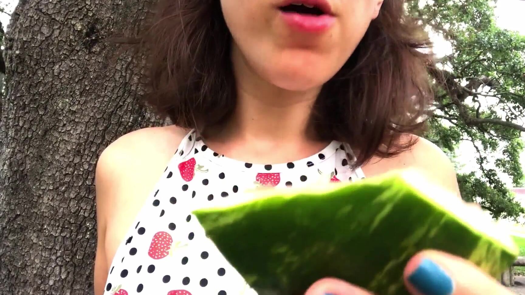 Smilesofsally Summer Southern Watermelon Mukbang