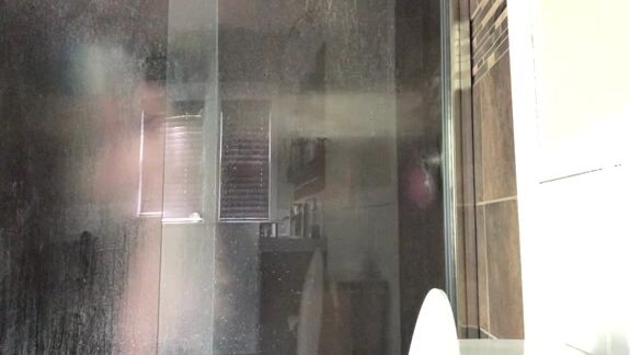 Olivia Vee Glass Shower Doors