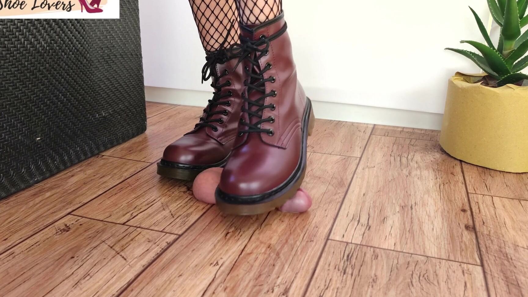 boot domination, cockbox floor, trampling, minidress, fishnet stockings, boot fetish, cock stomping, shoejob, cbt, female domination, drain cum, cumshot, cock crush, cockbox shoelovers combat boots shoejob Clips4Sale
