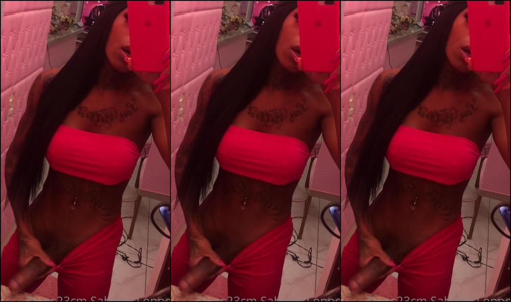 Trans23Cmreal 2556756754 08 11 2022