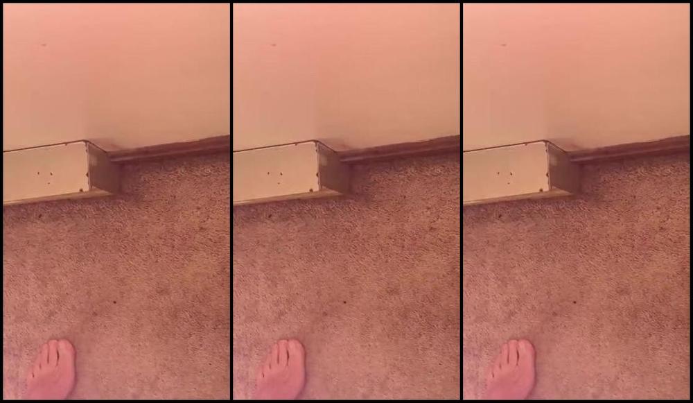 Soldmysolesforink Nicknamed Soldmysolesforink 11 18 2023 Onlyfans Video Happy Sinful Saturday My Loves The Farm Was Such A Good Time Today