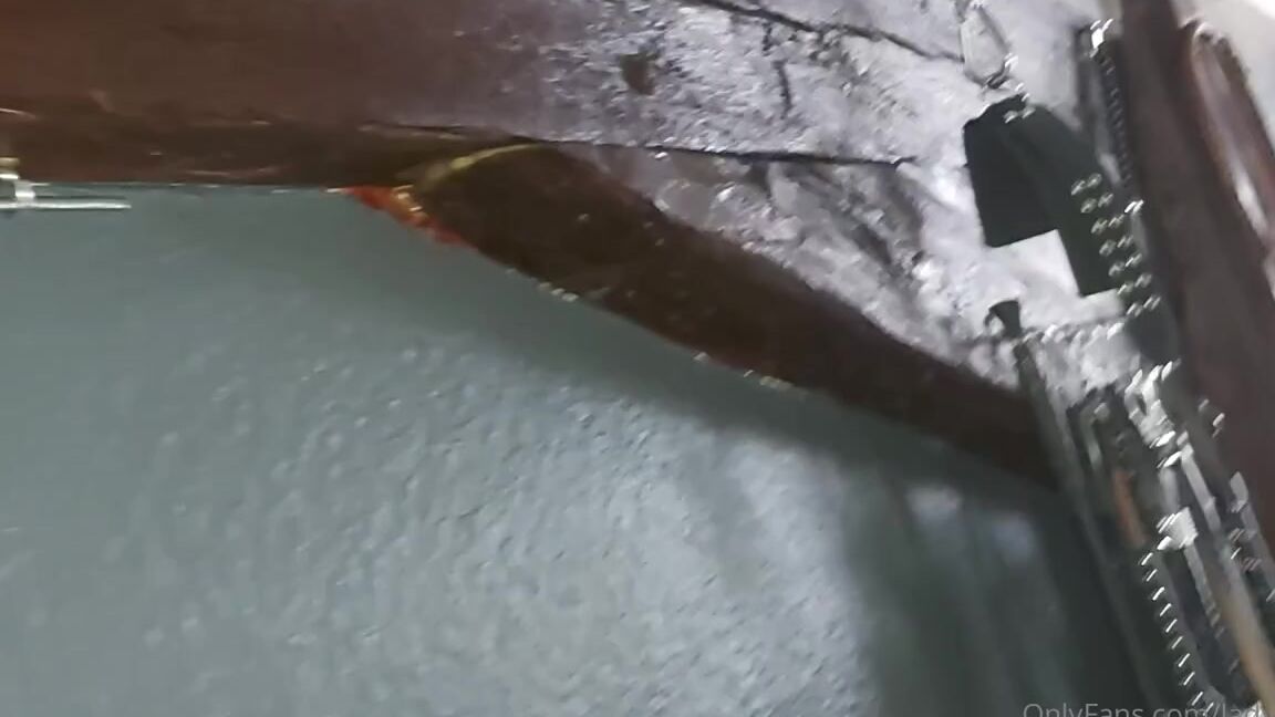 Lady Shayqoscuckoldress Nicknamed Ladyshay 09 20 2020 Onlyfans Video Love It