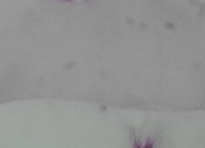 "Mix" All Sex, Classic Loop Screw 20 - Rear Entry Screw