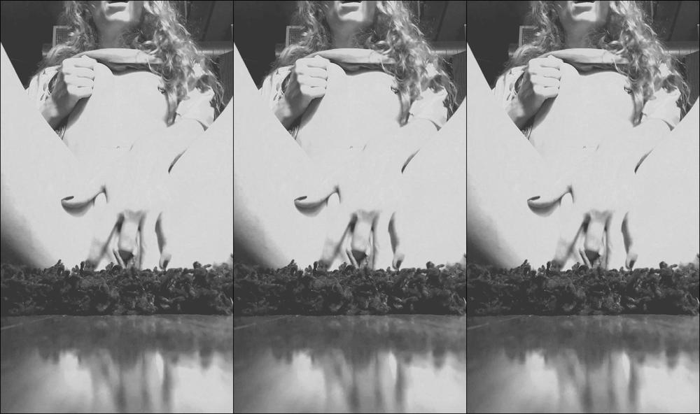 Autumn Orchid 406228249593520128