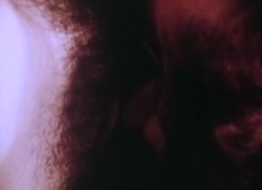 "Candida Royalle, Anne Beatty, Sandy Pinney, Bonnie Mulford, Carole Tong, Diane Baxter, Maureen Kelly, Shirley White, Susan Critz, Chad Tipton, Jim Stampler, Joey Silvera, Lou Hanton, Mike Thornton, Steve Brown, Tom Cannon." Classics, Adult Pony Girl