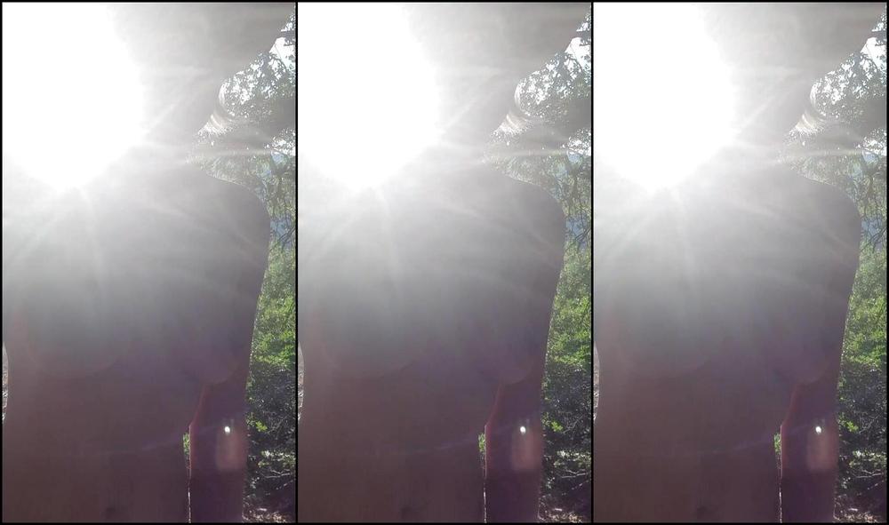 Travelling Peach 2604776668 09 17 2022 Shall We Go For A Walk In The Woods D