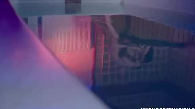 Valentina Ricci Les Secrets De Mariska