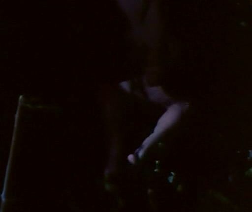 "Jean Jennings, Annette Haven, John Leslie, John Holmes, Paul Thomas, Joanna Hilden, Ken Scudder, Dale Meador, Artie Mitchell, Michael Dolan, Mitch Mandell" straight, classic, feature Autobiography of a Flea Mitchell Brothers