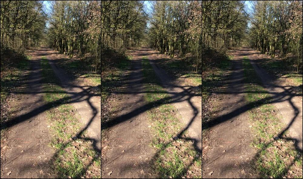 Surrendersubmit Gather Round Boys Walk With Me And Learn From Your Goddess