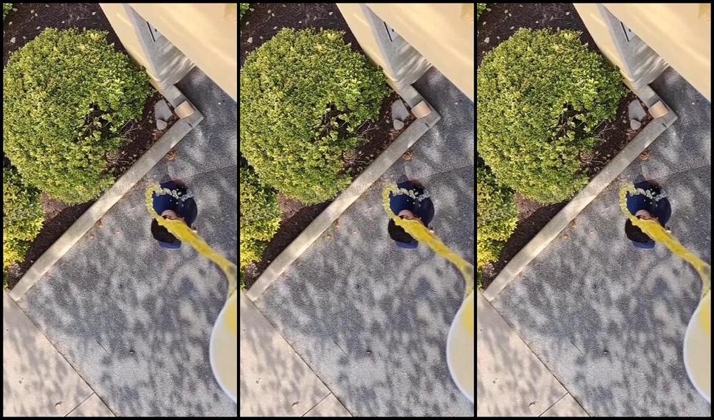 Naturaldiva Onlyfans Fun In Public Loyal Subs Ask For Full Clip