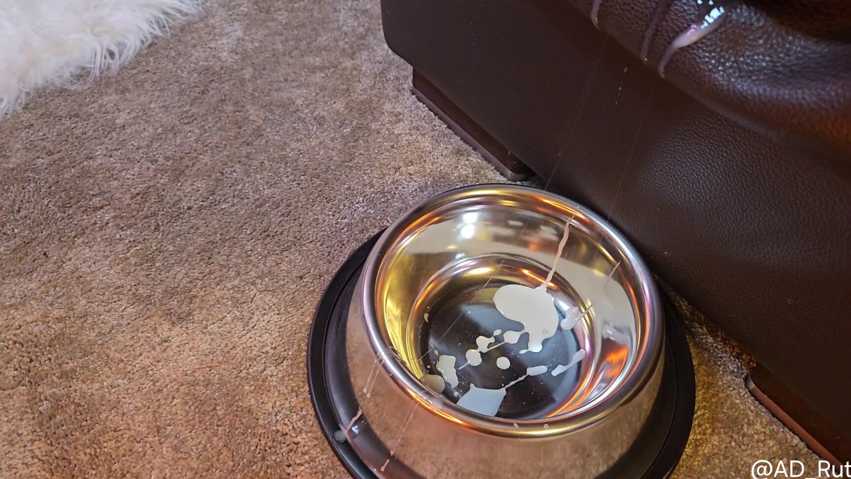 Ad Rutt 979046135 Dragons Are Quite Good At Taking Cock Next Up Is Fern 01 0Hnsqaqg8Jtsgek6B3Ics Source