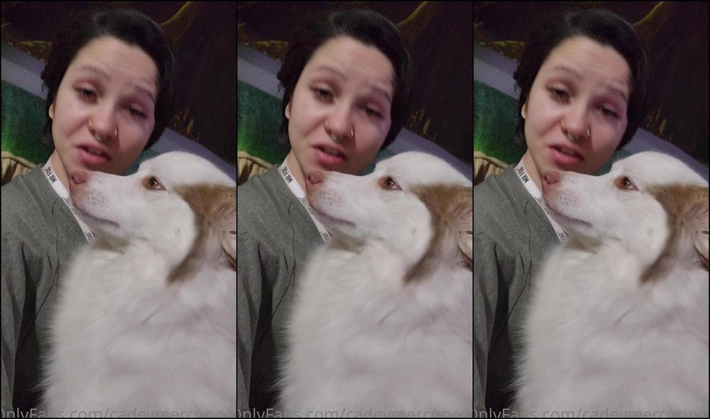 Cadeymercuryxxx Please Comment Below What Kind Of Small Breed Puppie You Guys Think Would Be A Great Addit