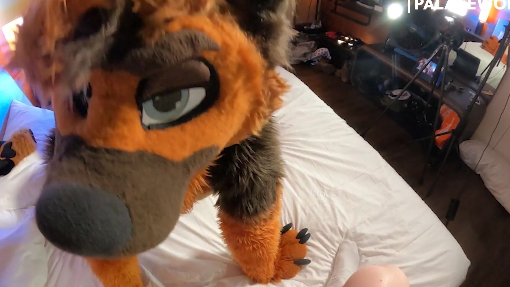 Palacewolf 1231619555 Full Video 10M33S Want To Be Spit Roasted By These Tw 01 0Hswqga8Ip9K4T8V4Sb3X Source