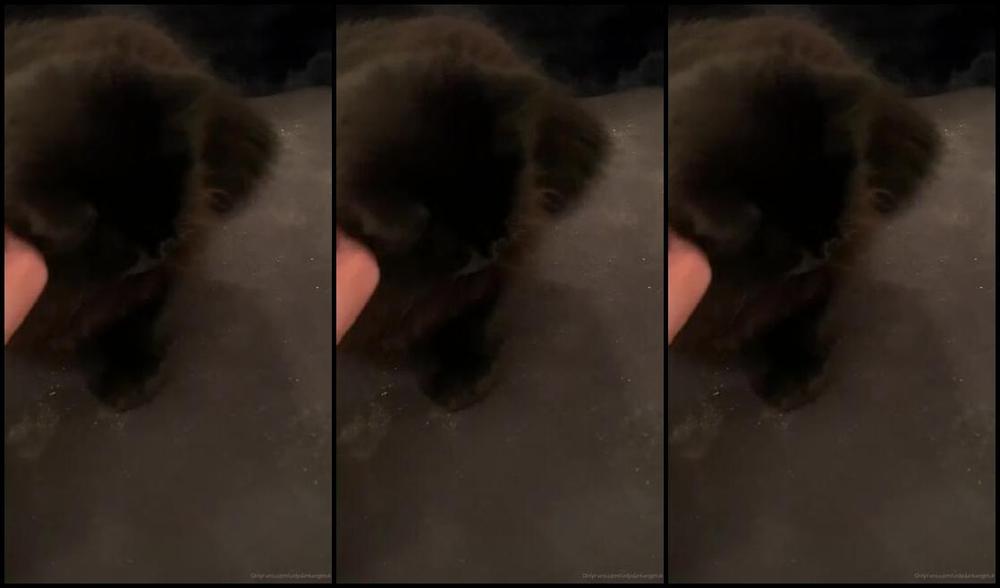 Ladydarkangeluk Onlyfans All Three Puddy Cats On Separate Chairs Do They Not Like Each Other Lol Umm Not Much Place For