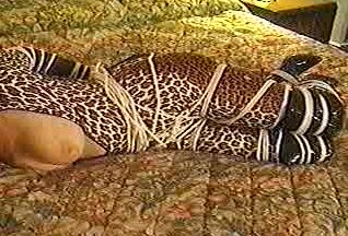 Bondage Harmony Concepts - PC-5 - Intensity Harmony Concepts