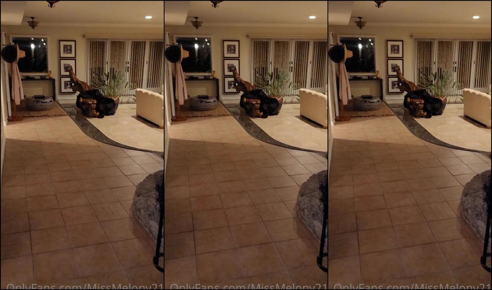 Melonymelonsxxx Got Brought Back To A Porn Mansion To Fucked