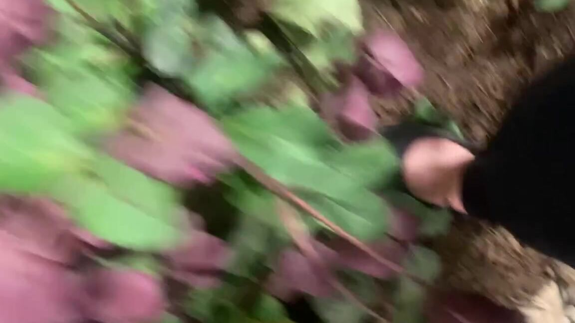 Bootyful Goddess Nicknamed Bootyfulgoddess Findom 09 09 2023 Onlyfans Video Leaked Bootyfulgoddess 24285