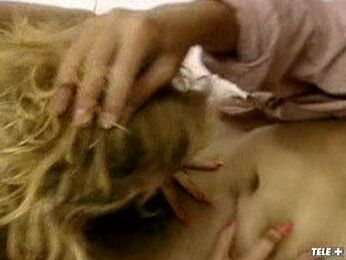 Anal, Feature Rocco E Le Top Model Del Cazzo SiteRip