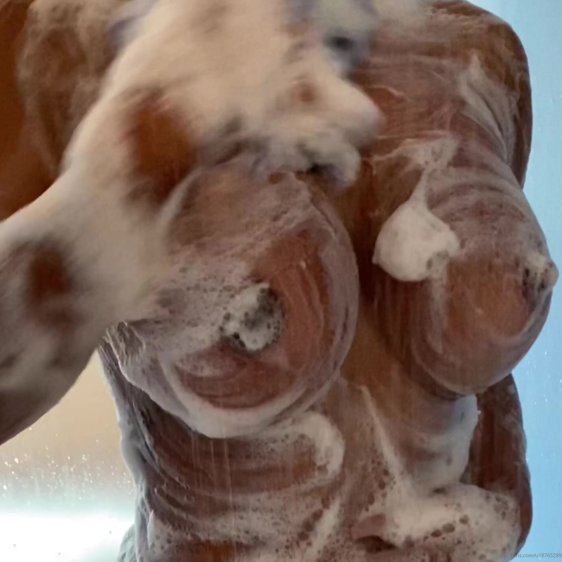 Connieelizabeth 165839824 03 02 2020 I Ll Wash My S For You Tip Me If You Like This