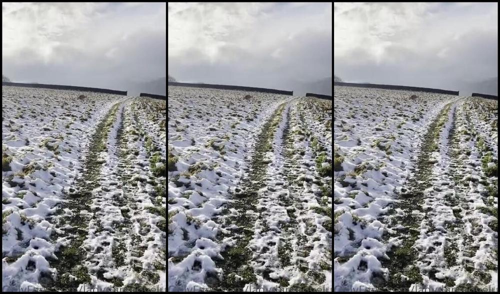 Ladydarkangeluk Onlyfans Good Morning Puppy Dog Loving The Snow This Morning