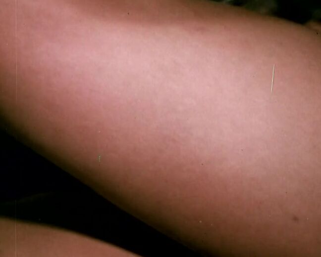 "Annette Michael, Rene Bond, Tallie Cochrane, Bill Scott, Ray Sebastian, William Howard***" All Sex Souzy's House World Wide Video