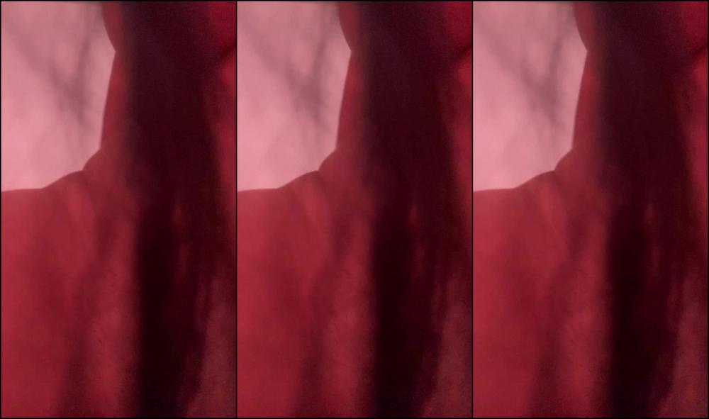 Princessdoris 3359906705 06 13 2024 Otro Ngulo De V Deo De Anal Sexo De 6 12 2024 Que Vend Por 12 99