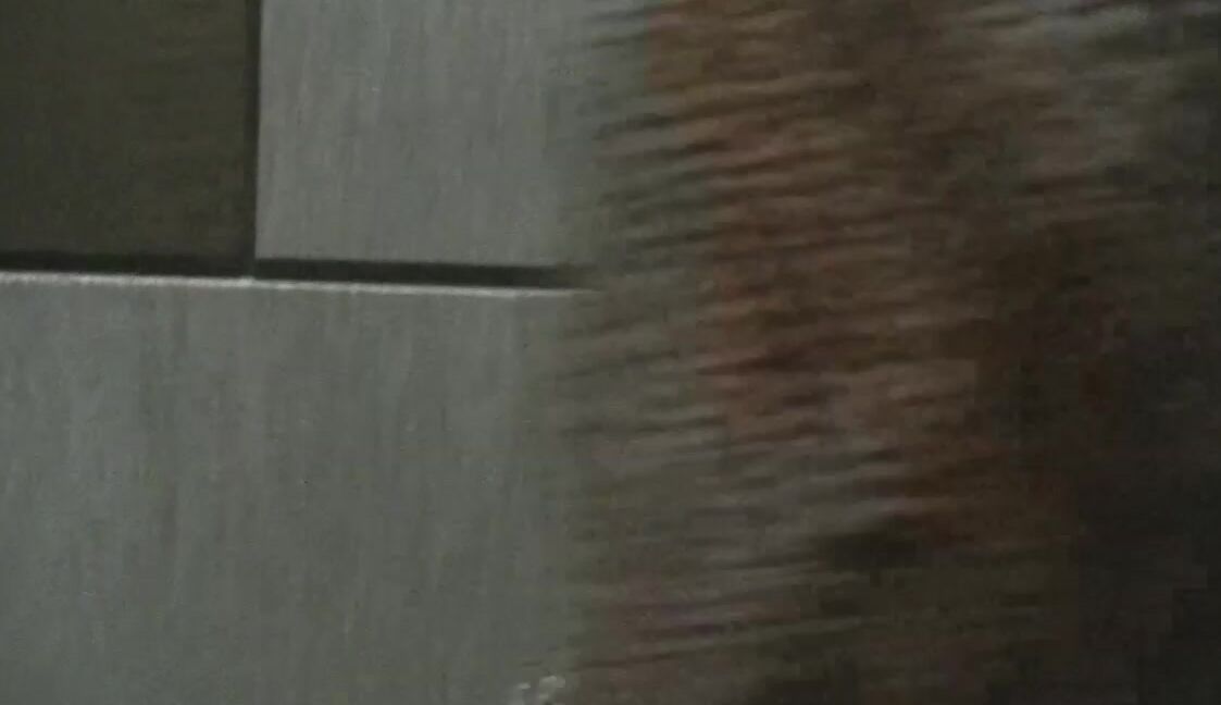 Assisted masturbation, Imposed Orgasms, Orgasms, Public Outdoor, Sybian helenas cock quest welcome to my world 4 sybian in public ManyVids