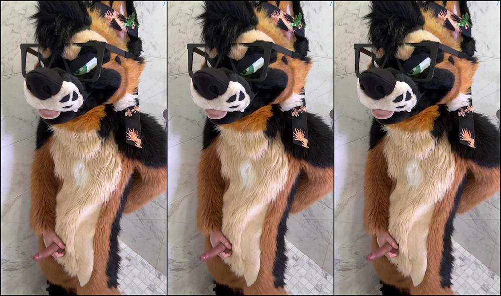 Palacewolf 0Hz1497Sskvaydjrgp9V6 1920