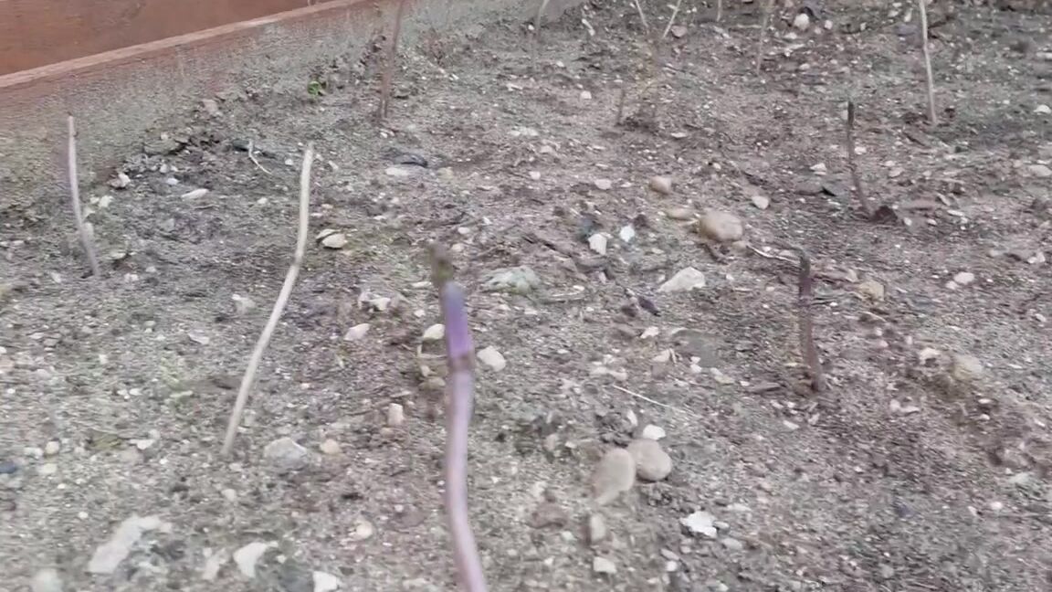 Kathianobilixx Findom 05 07 2023 Onlyfans Video Im So Proud And So Happy With All The Work Weve Done This Spring At The