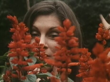 "Jamie Gillis, Eric Edwards, Samantha Fox, Bobby Astyr, Leslie Bovee, R. Bolla, Veri Knotty, George Payne, Michael Gaunt, Christine DeShaffer, Alan Adrian, Candida Royale" oral, group, lesbi, masturbation, toys, Classic Blue ecstasy in New York TVX