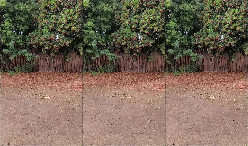 Tati Lush 1220704499 11 08 2020 I Love The Rain