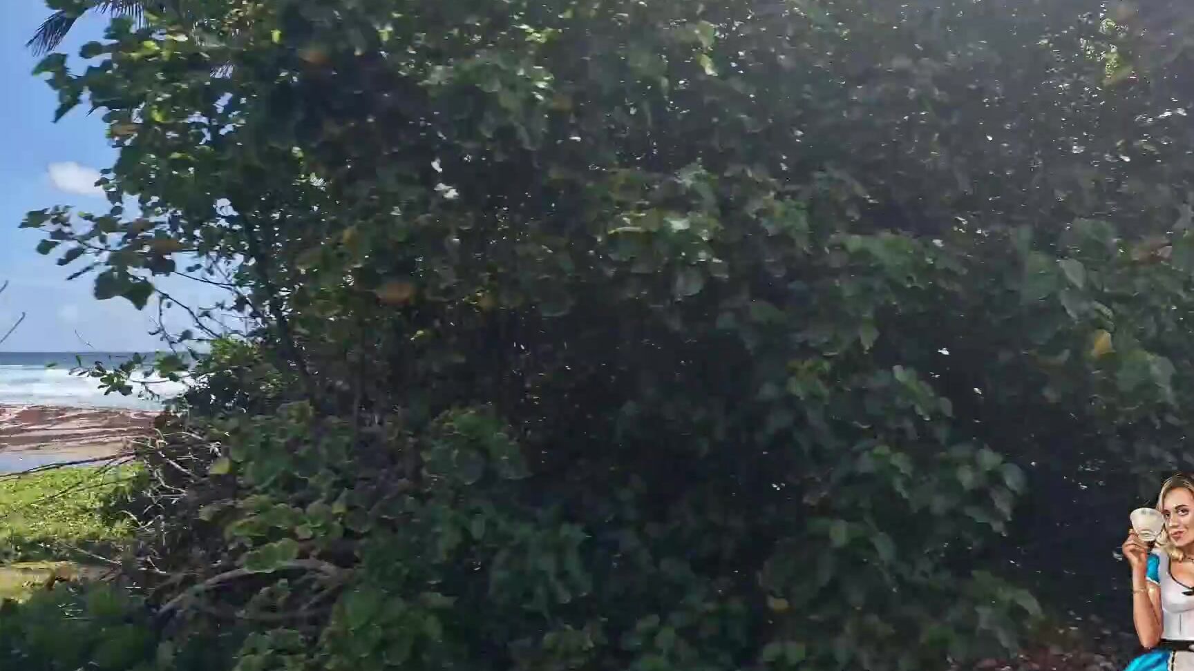 Travelling Peach 3280901568 04 16 2024 Now This Is A Proper Drive Along Full Points If You Have The Staying Power To