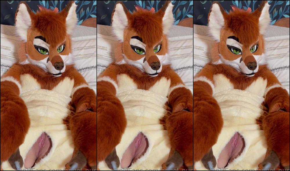 Angel Pups 310716243 Wet Warm And Ready For You 01 9C70F703 1Ecc 4592 B6C0 705A1Bfa00C1