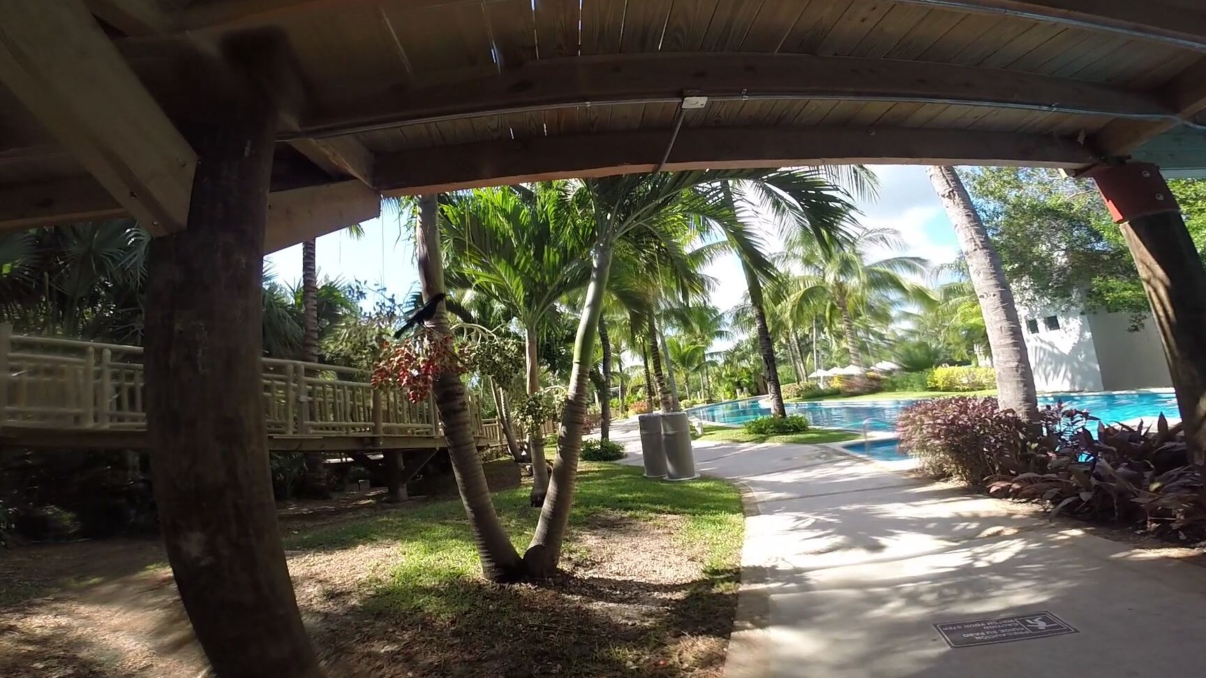 Bisexual, MILFs, Public Nudity mandybabyxxx public mexico flashing ManyVids