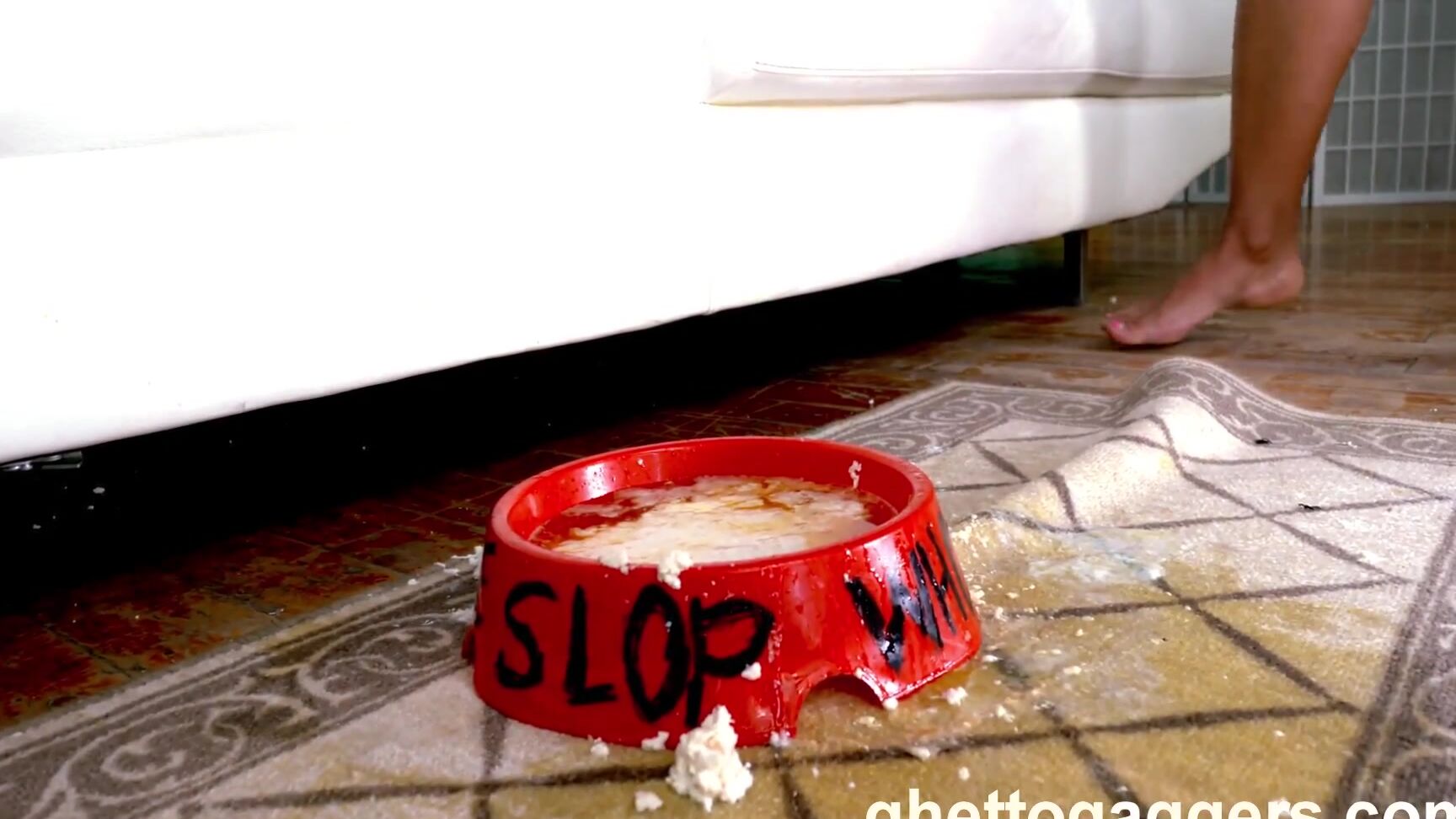 Puke, Humilation, Slapping, Pissing, Doggy, Deep Throat, Cumshot, Verbal Abuse, Rough Sex, Blowjob, Anal She Was Out For A Jog SiteRip