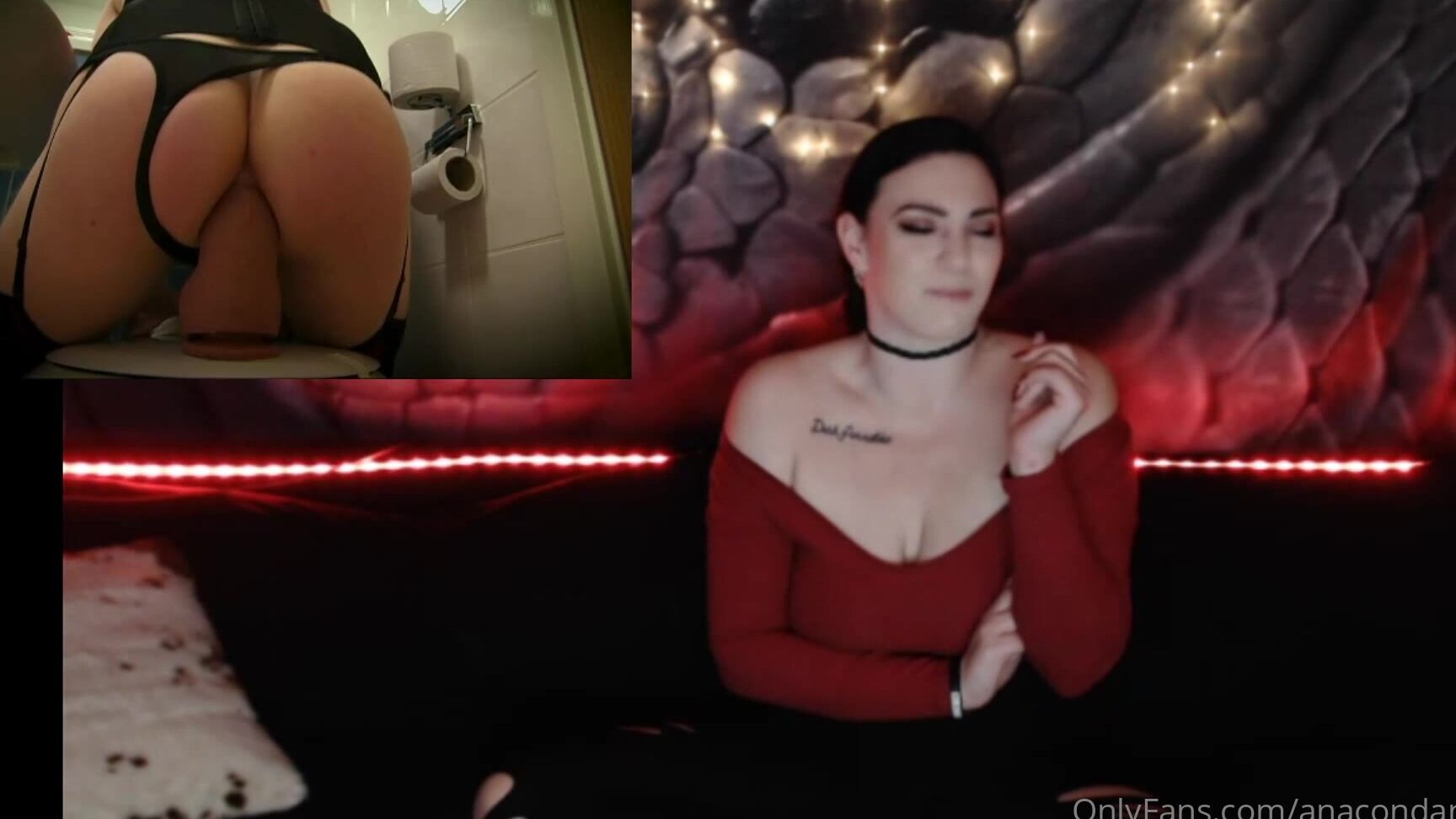 Anacondanoire Anaconda Femme Sissy Training With Lady Anaconda Anacondafem