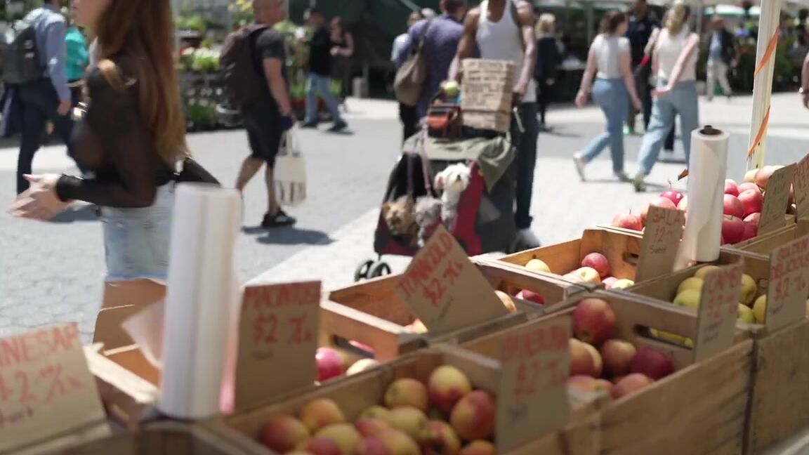 Bralessforever 2024 04 18 Sara Farmer S Market